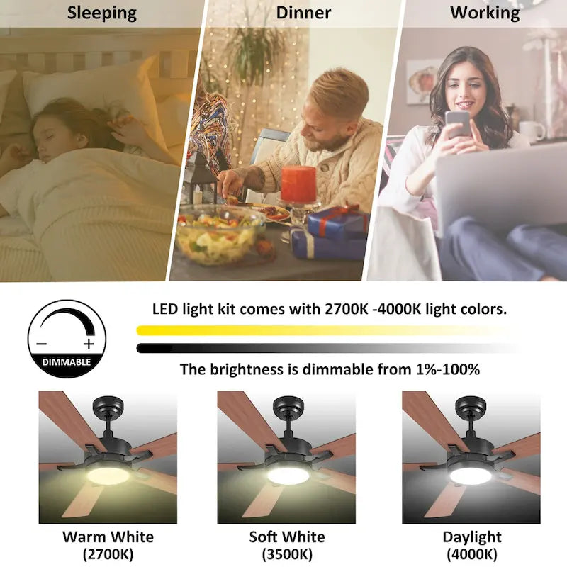 Ventilateur de plafond intelligent Elliott de 52 pouces pour intérieur/extérieur, kit d'éclairage LED à intensité variable et télécommande, compatible avec Alexa/Google Home/Siri.